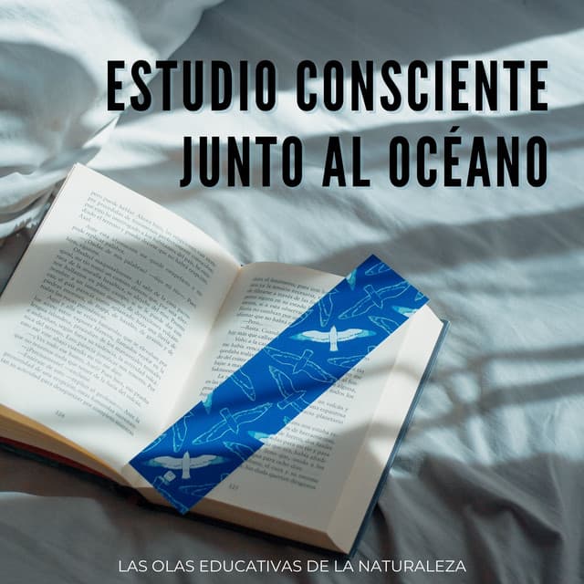 Estudio Consciente Junto Al Océano: Las Olas Educativas De La Naturaleza - Estudios de la naturaleza en todo el mundo