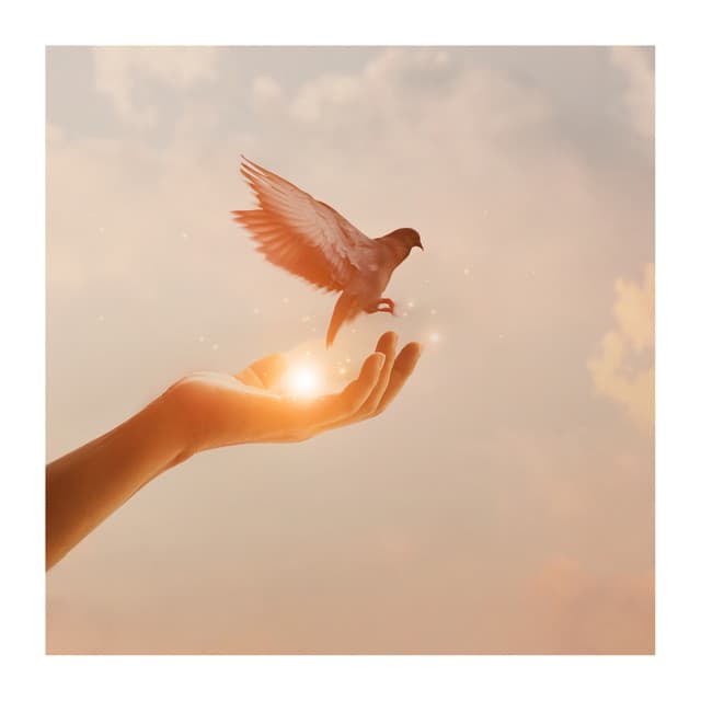 White Noise Ultimate Sleep and Relaxation - Loopable no fade - Dream Supplier