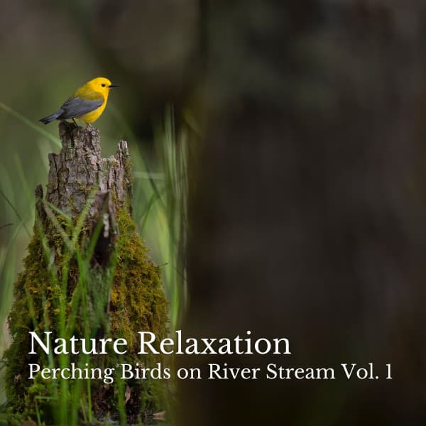 Nature Relaxation: Perching Birds on River Stream Vol. 1 - Slow Sex Music