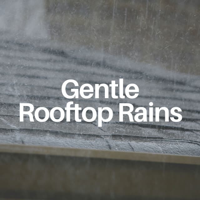 Gentle Rooftop Rains - Rain Recordings