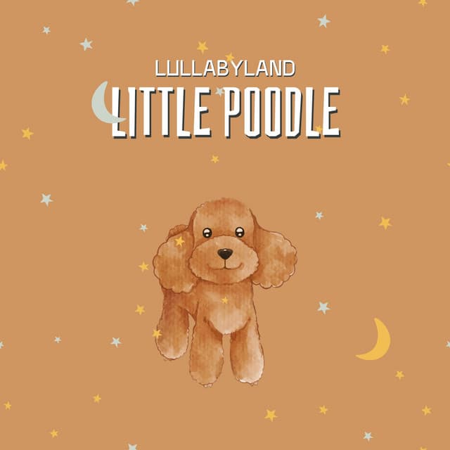 Little Poodle - Lullabyland