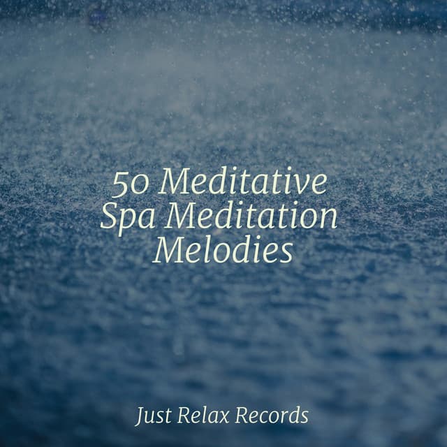 50 Meditative Spa Meditation Melodies - Meditation