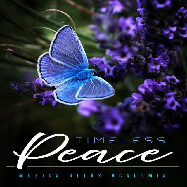 Timeless Peace - Musica Relax Academia