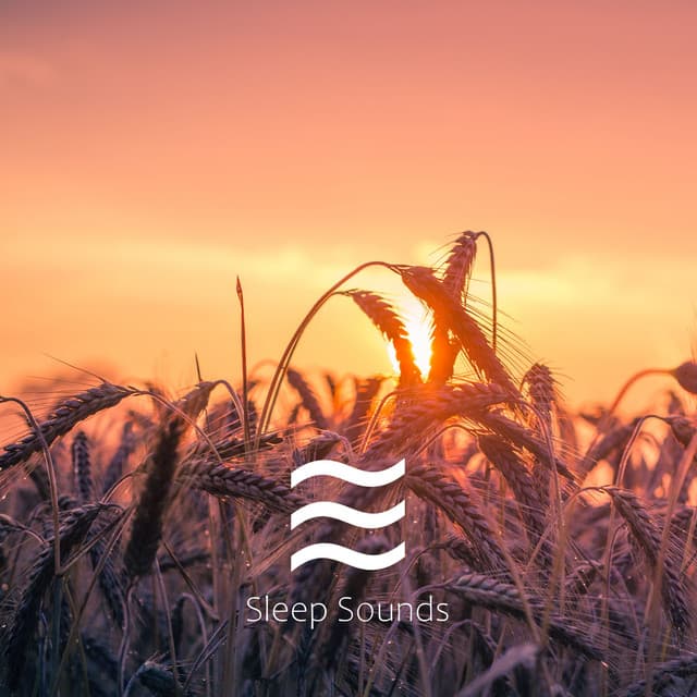 Soporific Pink Noise