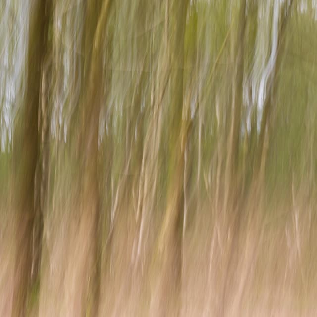 365 Zen: The Key To Calm - between waves