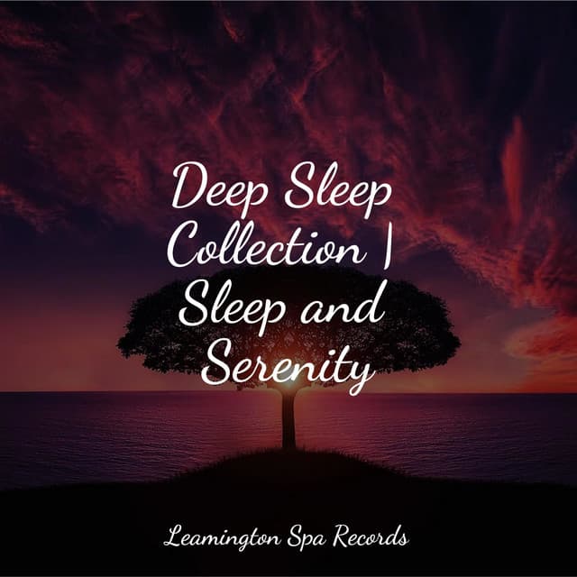 Deep Sleep Collection | Sleep and Serenity - Deep Focus