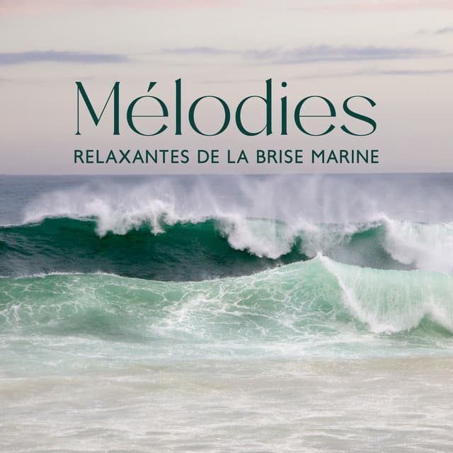 Mélodies relaxantes de la brise marine : Musique de guérison par le son et le toucher - Musique Thérapeutique Naturelles