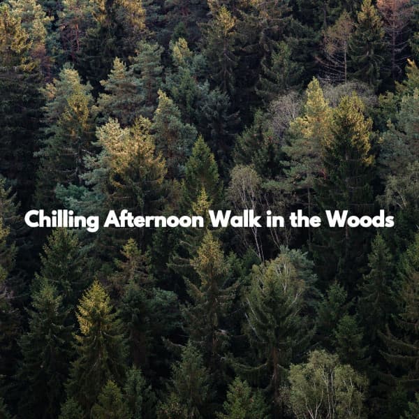 Chilling Afternoon Walk in the Woods - Easy Jazz Music