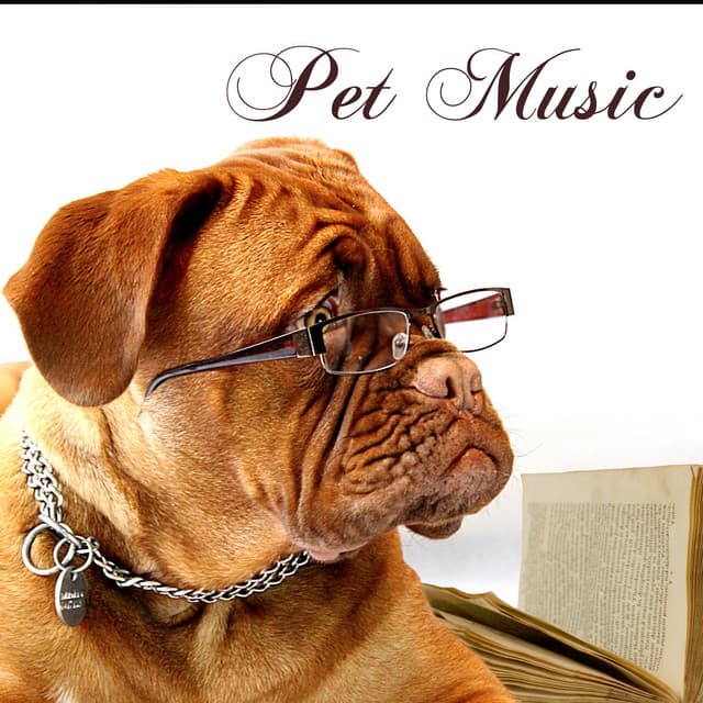 Pet Music: Songs for Dogs and Cats, Pet Therapy Relaxation - Pet Music World