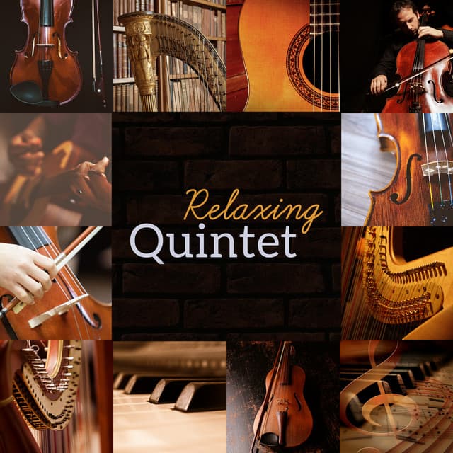 Relaxing Quintet - Emotional Harmony Zone