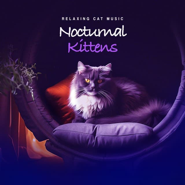 Nocturnal Kittens - Relaxing Cat Music