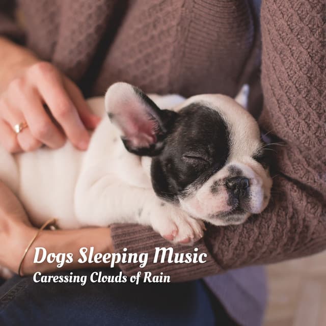 Dogs Sleeping Music: Caressing Clouds of Rain - Music for Calming Dogs