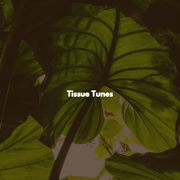Tissue Tunes - Groovy Cafe Music Playlisted