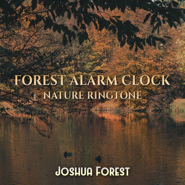 Forest Alarm Clock: Nature Ringtone – Singing Birds, Forest Sounds & Rain - Joshua Forest