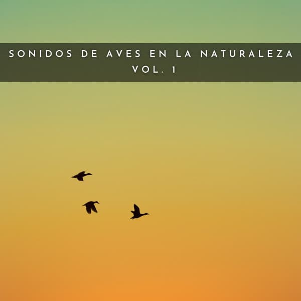 Sonidos De Aves En La Naturaleza Vol. 1 - #Relajante