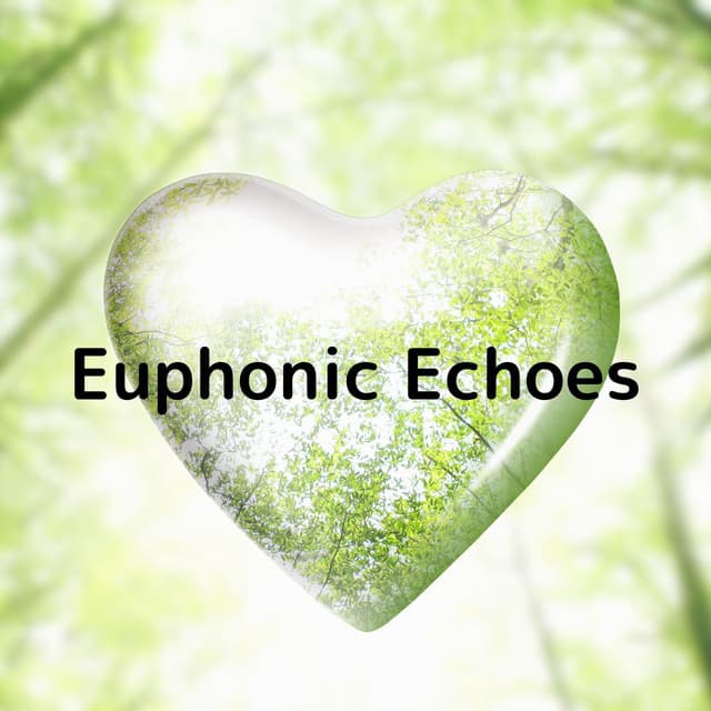 Euphonic Echoes - Soulful Symphony