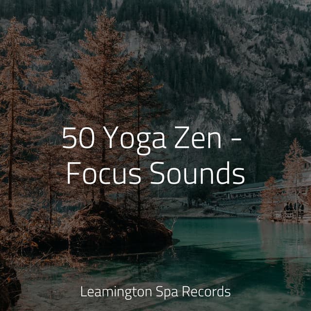 50 Yoga Zen - Focus Sounds - Ambient Rain