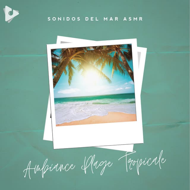 Ambiance Plage Tropicale - Sonidos Del Mar ASMR