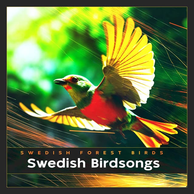 Swedish Birdsongs - Swedish Forest Birds
