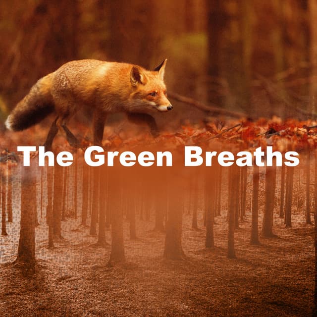The Green Breaths - Dog Calming Music