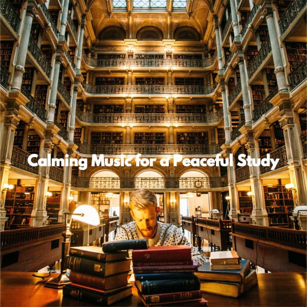 Calming Music for a Peaceful Study - Bossa Nova Jazz Cafe