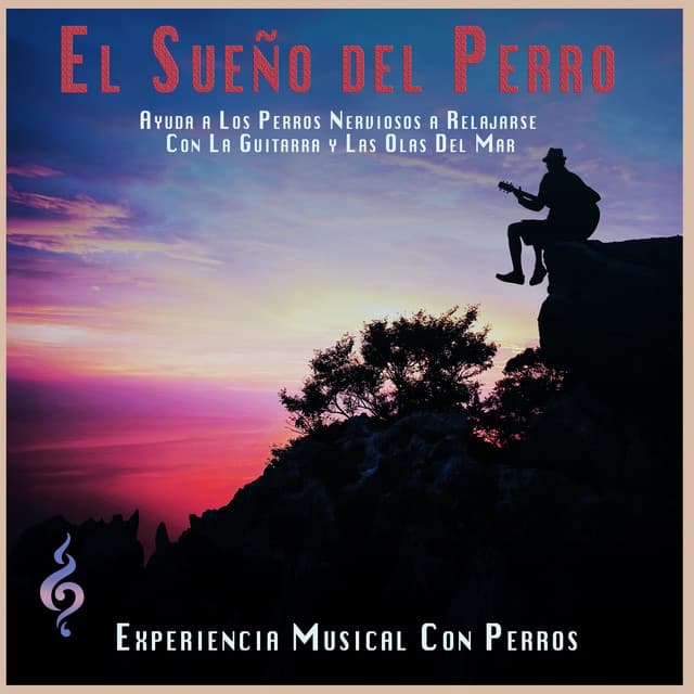 El Sueño del Perro: Ayuda a Los Perros Nerviosos a Relajarse Con La Guitarra y Las Olas Del Mar - Experiencia Musical Con Perros