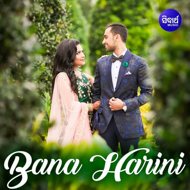 Bana Harini - Abhijit Majumdar