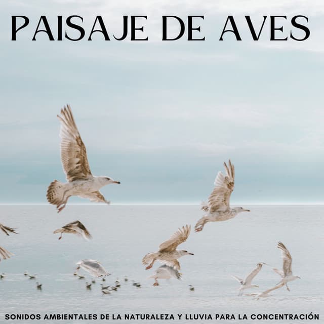 Paisaje De Aves: Sonidos Ambientales De La Naturaleza Y Lluvia Para La Concentración - Lluvia Instantánea