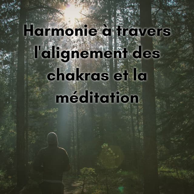 Harmonie à travers l'alignement des chakras et la méditation - New Age Musique Zen