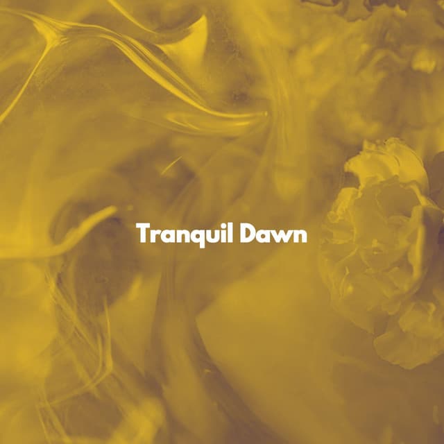 Tranquil Dawn - Rainy Day Jazz
