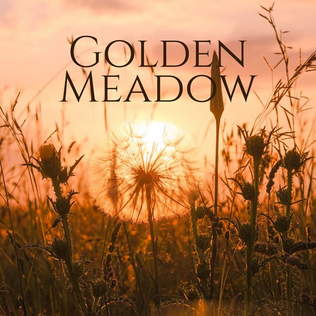 Golden Meadow: Relaxing Music with Soft Nature for Evening Meditations - Zen Soothing Sounds of Nature
