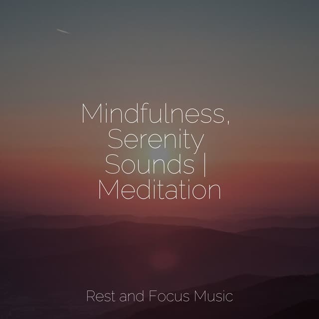 Mindfulness, Serenity Sounds | Meditation - Deep Focus