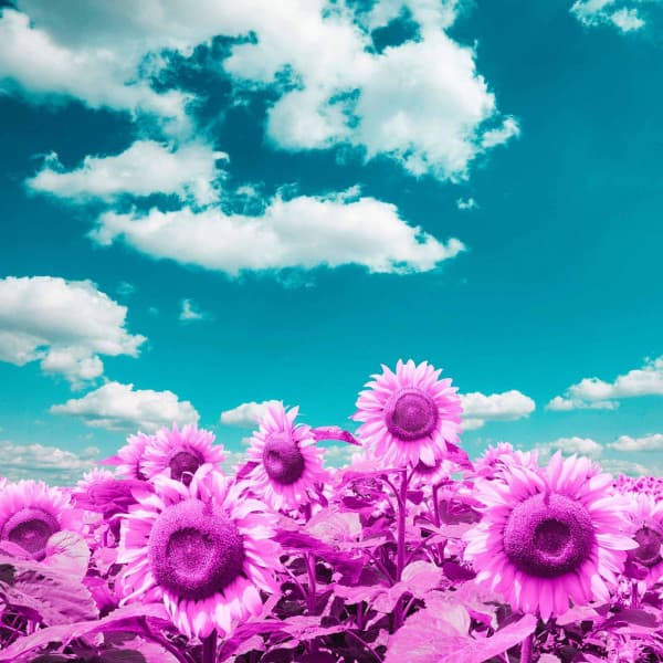 Retro Ambiance for Focusing Tales - Dinner Party Jazz Radio