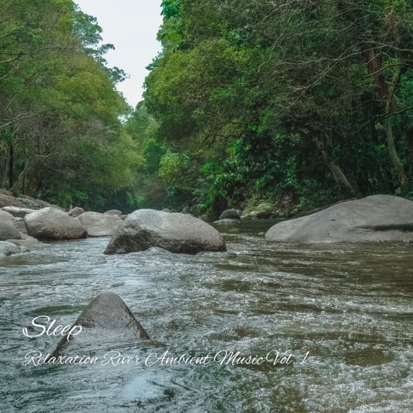 Sleep: Relaxation River Ambient Music Vol. 1 - The Deep Sleep Music Academy