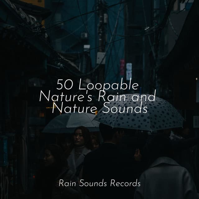 50 Loopable Nature's Rain and Nature Sounds - Pro Sound Effects Library