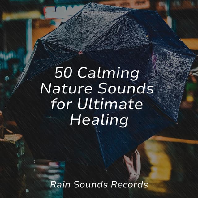 50 Calming Nature Sounds for Ultimate Healing - Rising Higher Meditation
