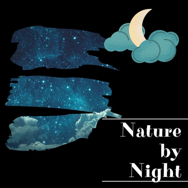 Nature by Night - Night Sounds Channel