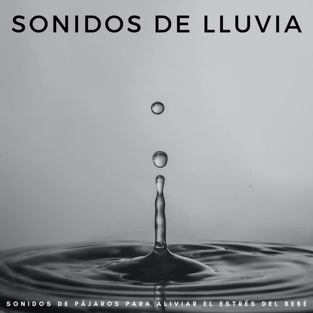 Sonidos De Lluvia: Sonidos De Pájaros Para Aliviar El Estrés Del Bebé - Sonido de lluvia ricky