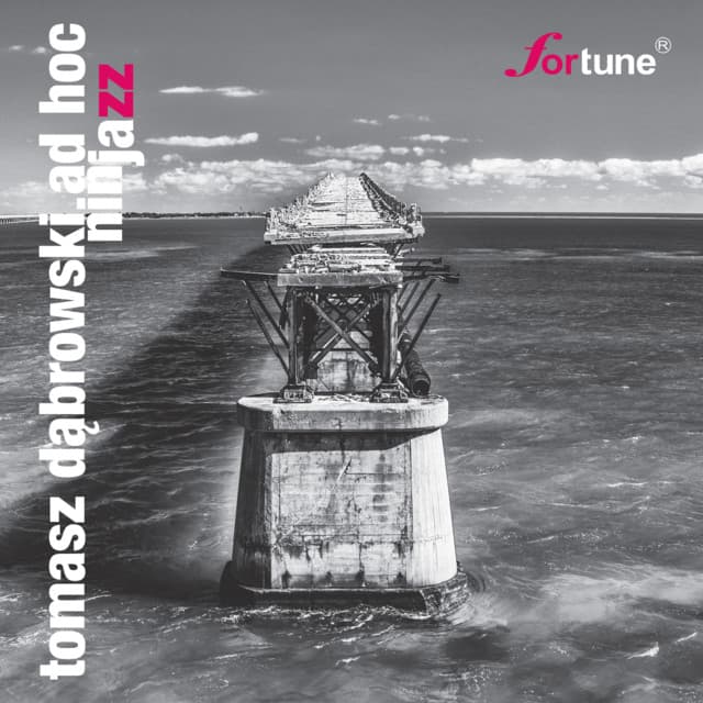 Ninjazz - Tomasz Dąbrowski
