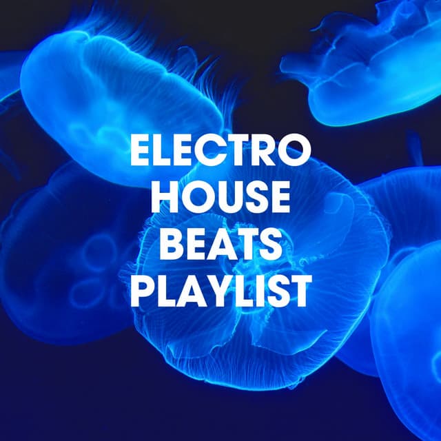 Electro House Beats Playlist - Compilation Electro-House