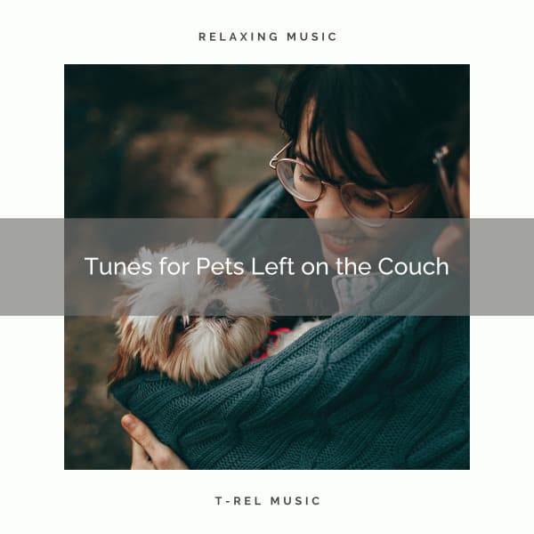 4 Pets Left on the Couch - Relaxing Music for Dogs