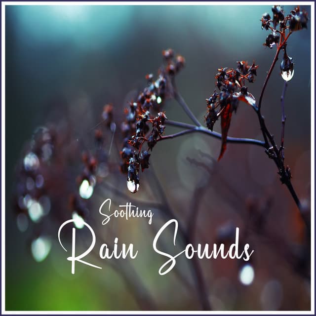 Soothing Rain Sounds - Rain Sounds For Sleep