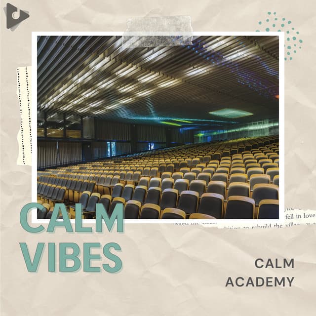 Calm Academy - Calm Vibes