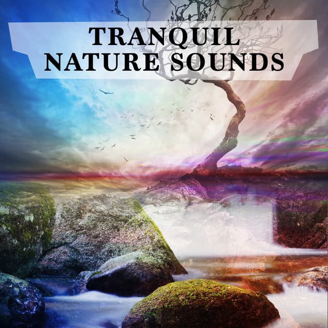 Tranquil Nature Sounds - Nature Sounds
