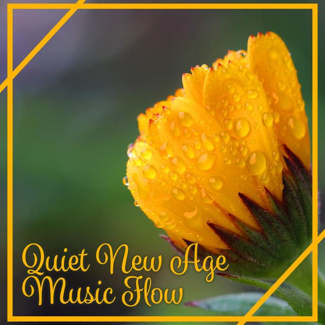 Quiet New Age Music Flow: Sounds for Meditation and Relaxation, Music Therapy for Calm Mind and Body, Ambient Massage Music, Natural Noise - Zen Natural Sounds