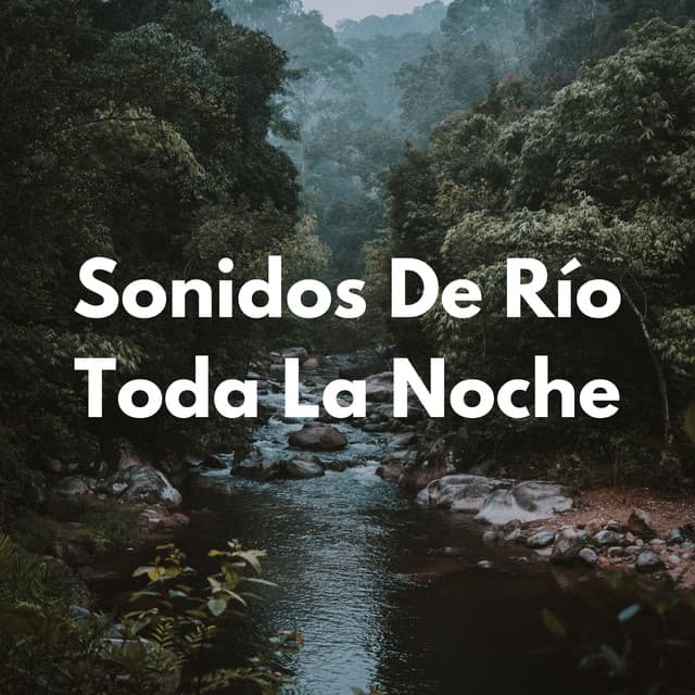 Sonidos De Río Toda La Noche - Sonido del río para dormir