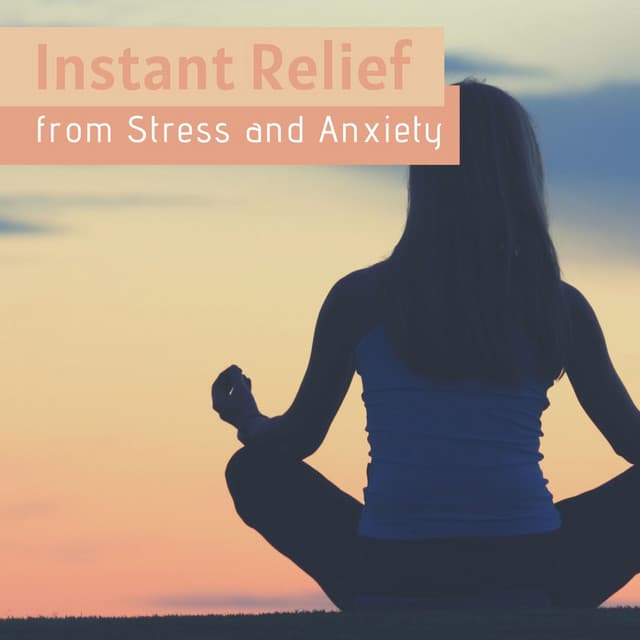 Instant Relief from Stress and Anxiety: The Best Meditation Music, Nature Sounds, Detox Negative Emotions, Calm your Mind, Body & Spirit - Quiet Music Academy