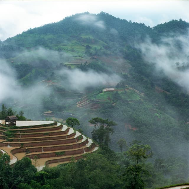 1 Atmosphere: Veil of Time - Nature Sound Collection