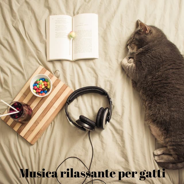 Musica rilassante per gatti: musica terapeutica per l'ansia e il sonno tranquillo del gatto - Rilassa la musica dei gatti