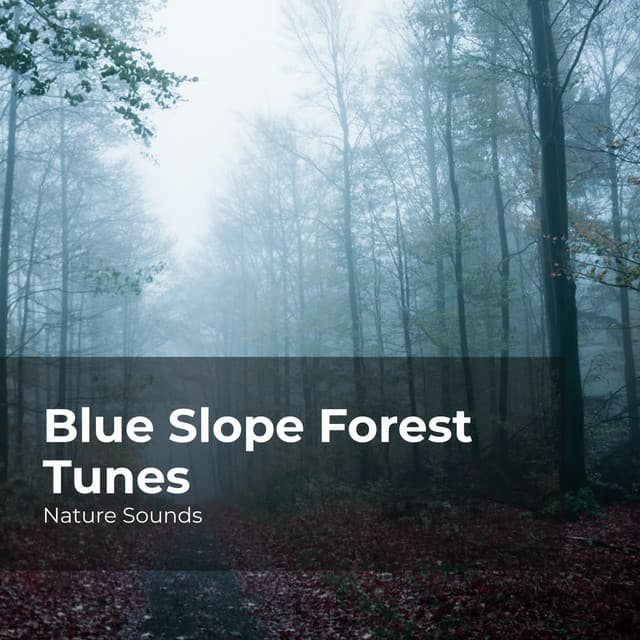 Blue Slope Forest Tunes - Nature Sounds